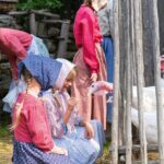 Admission 1 person - Visit of the Acadian Historic Village - Final Thoughts