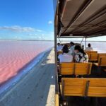 Admission Ticket to Safari in the Pink Lagoons of Las Coloradas - The Salt Production Experience: Why It’s Worth It