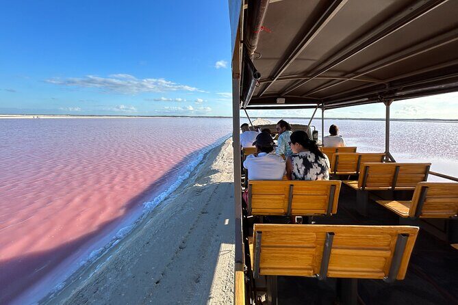 Admission Ticket to Safari in the Pink Lagoons of Las Coloradas - The Salt Production Experience: Why It’s Worth It
