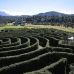 Admission to the Alpinia Nature and Adventure Park - A Review of the Experience