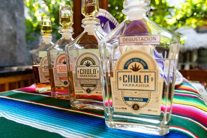 Adrenaline Adventure Puerto Morelos - The Value of the Price