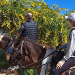 Adventure Delight The Ultimate Combo Ride at Desert Trails - What the Reviews Say