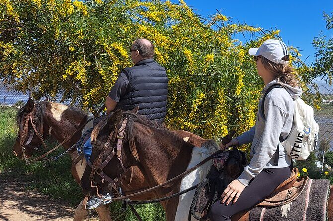 Adventure Delight The Ultimate Combo Ride at Desert Trails - What the Reviews Say