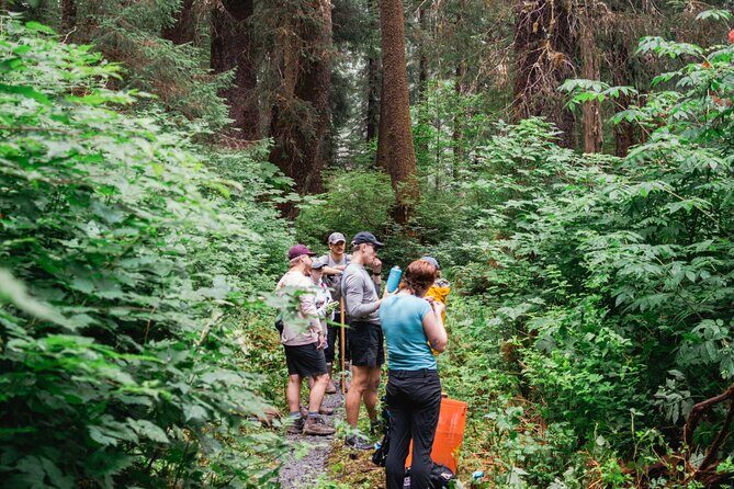 Adventure Hike | ALASKAN WILDERNESS TRAIL - Key Points