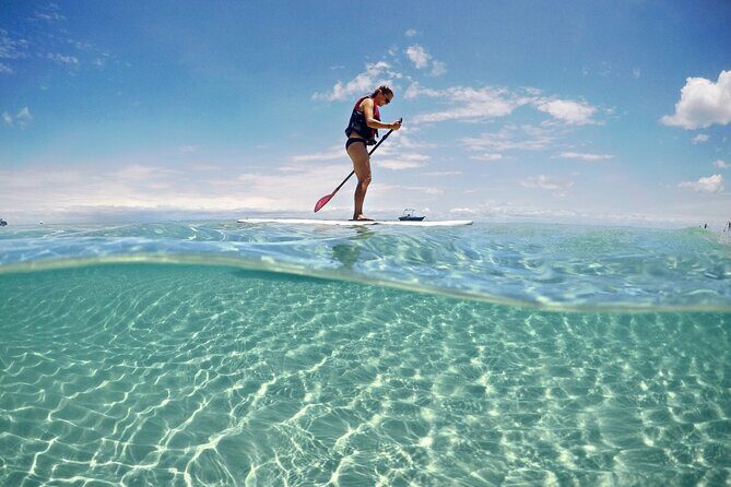 Adventure Moreton Island Scuba Dive Tour - The Value of the Tour