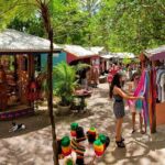 Adventure on a Budget Visit Kuranda or Palm Cove from Pt Douglas - Who Is This Tour Best For?