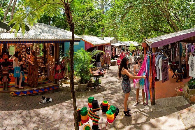Adventure on a Budget Visit Kuranda or Palm Cove from Pt Douglas - Who Is This Tour Best For?
