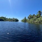 Adventure on the Emerald Coast Ventanilla, Mazunte, Puerto Ángel - Who Will Love This Tour?