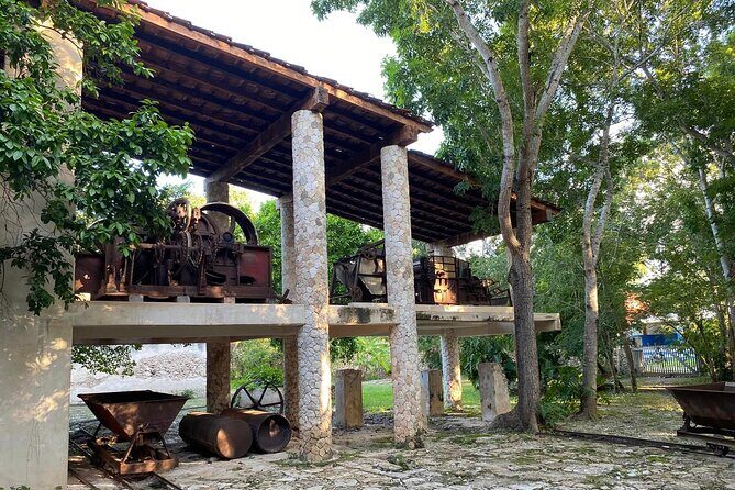 Adventure to Hacienda Mucuyche & Oxkintok, 2 cenotes from Mérida - Who Is This Tour Best For?