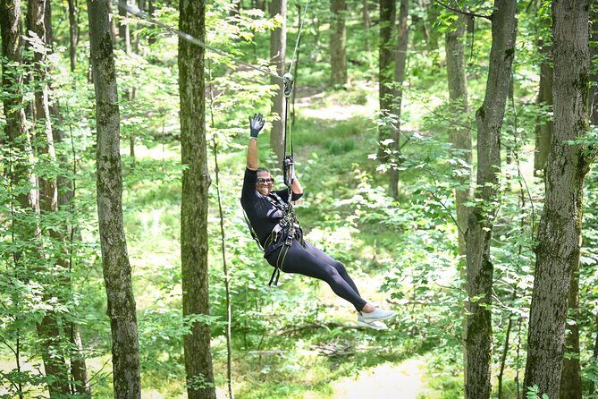 Aerial Adventure Park Admission - Who Should Consider This Experience?