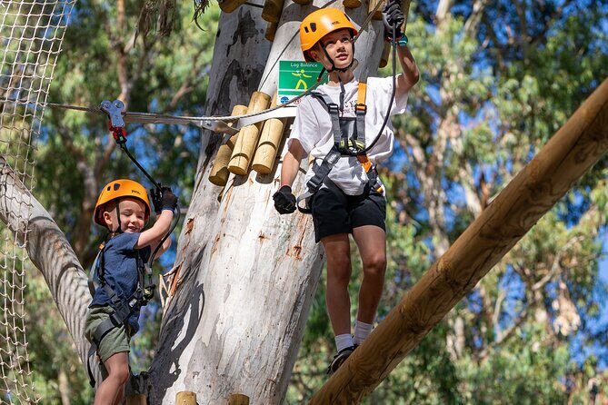 Aerial Fun & Ziplining for Our Littlest Adventurers in Salisbury - How This Experience Offers Value