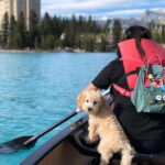 Affordable Banff, Lake Louise & Moraine Lake DayTrip Shuttle - How the Tour Works: Practical Details