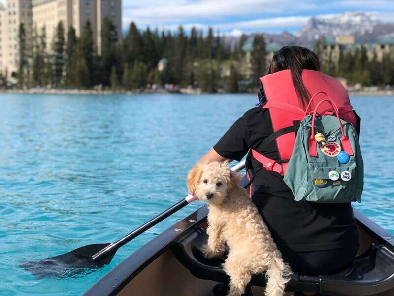 Affordable Banff, Lake Louise & Moraine Lake DayTrip Shuttle - How the Tour Works: Practical Details