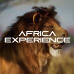 Africa Hologram Adventure at Zoocade - Who Should Consider This Tour?