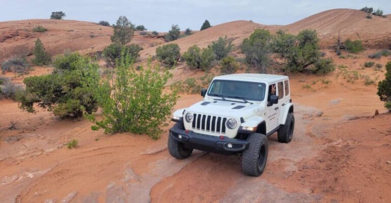 Afternoon Arches National Park 4x4 Tour - The Real Traveler Insights
