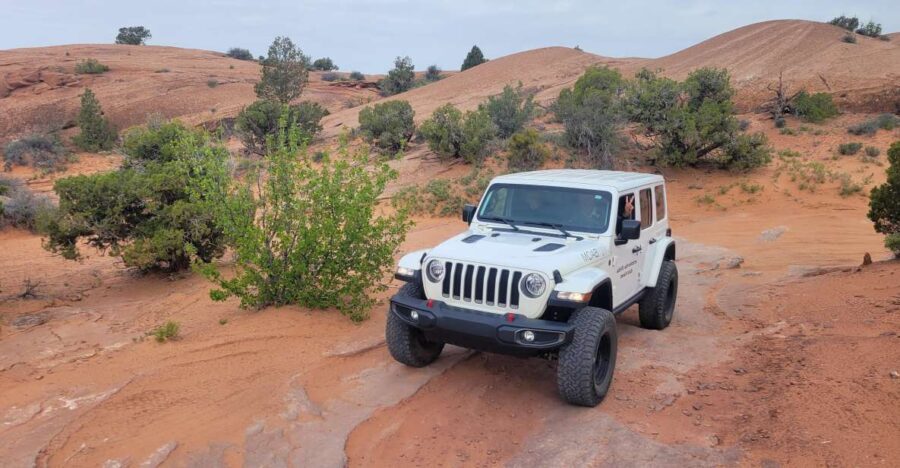 Afternoon Arches National Park 4x4 Tour - The Real Traveler Insights