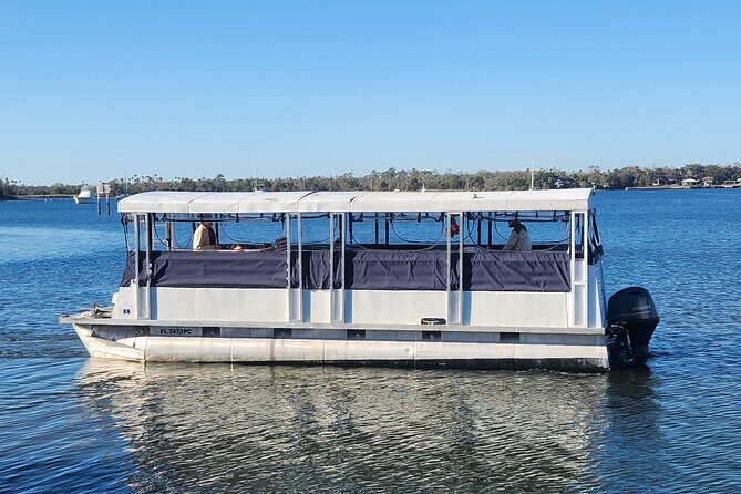 Afternoon Crystal River Ecological Boat Tour - An Honest Look at the Experience