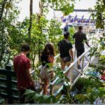 Afternoon Daintree Tour with River Cruise from Port Douglas - The Real Value of the Tour