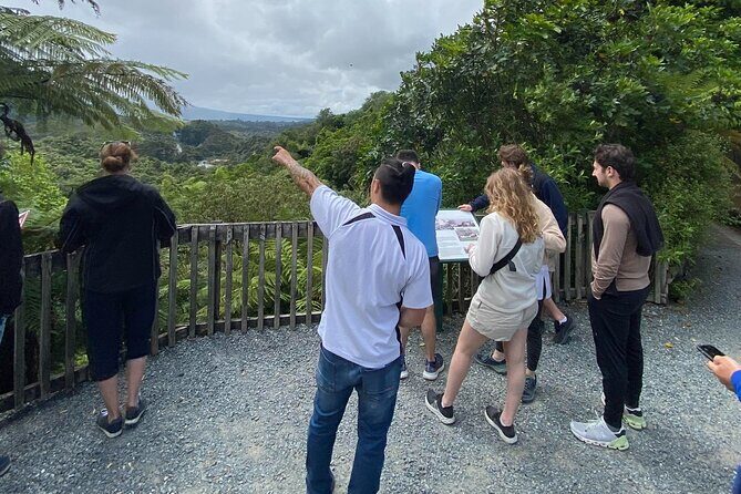 Afternoon Eco-Thermal Tour Explore Nature's Wonders - What You Can Expect From the Experience