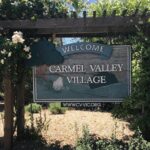 Afternoon Half-day Carmel Valley Wine Tasting Tour - Practical Details & Final Thoughts
