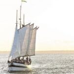 Afternoon Schooner Sightseeing Dolphin Cruise on Charleston Harbor - Who Is This Tour Best For?