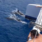 Afternoon West Maui Snorkel from Kaanapali Beach - The Experience for Different Travelers