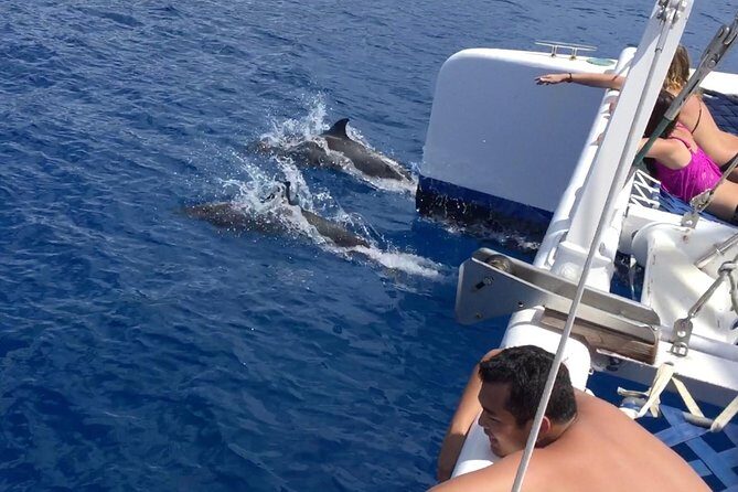 Afternoon West Maui Snorkel from Kaanapali Beach - The Experience for Different Travelers