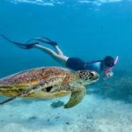 Agnes/1770: Southern Great Barrier Reef Snorkelling Day Trip - What to Expect on the Day