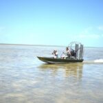 Airboat Adventure - What Do the Reviews Say?