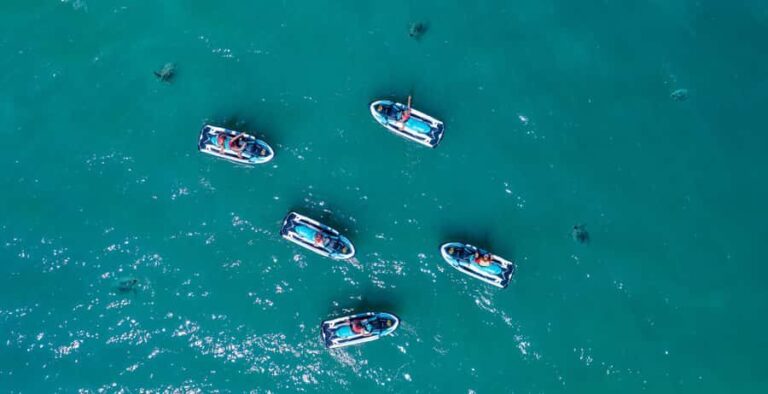 Airlie Beach: Airlie Adventure Jet Ski Tour - What the Tour Offers