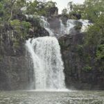 Airlie Beach: Cedar Creek Express (cruise ship friendly) - Final Thoughts: Is It Worth It?