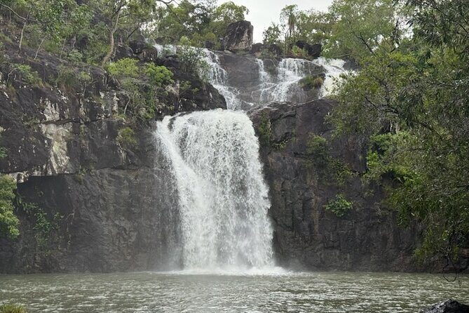 Airlie Beach: Cedar Creek Express (cruise ship friendly) - Final Thoughts: Is It Worth It?