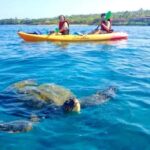 Airlie Beach: Half Day Turtle Tour Sea Kayaking Adventure - What the Tour Is Like: A Breakdown