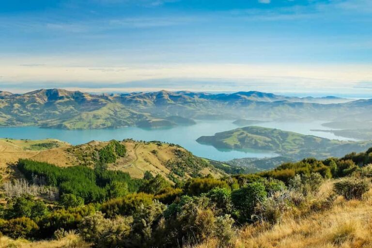 Akaroa: 4WD Safari and Guided Sea-Kayaking Experience - Why This Tour Wins