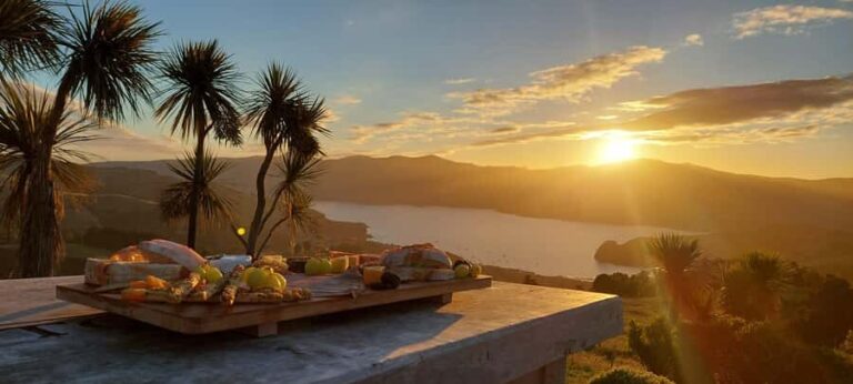 Akaroa: Astronomy Bites Tour with 3 telescopes and platter - The Itinerary in Detail