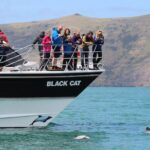 Akaroa Harbour Nature Cruise - Who Is This Tour Best For?