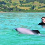 Akaroa Swim with Dolphins Tour from Christchurch - Who Is This Tour Best For?