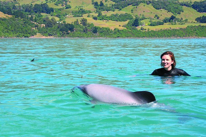 Akaroa Swim with Dolphins Tour from Christchurch - Who Is This Tour Best For?