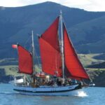 Akaroa: Wildlife Cruise with Dolphins and Penguins - Who Is This Tour Best For?