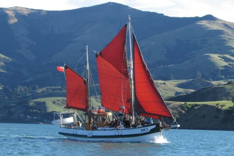 Akaroa: Wildlife Cruise with Dolphins and Penguins - Who Is This Tour Best For?