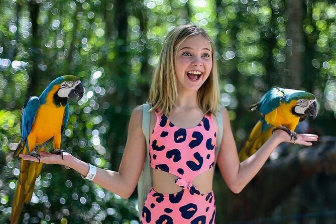 Akumal Monkey Sanctuary - The Guided Tour and Educational Focus