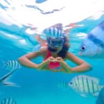 Akumal: Snorkeling Adventure with Turtles and Marine Life - The Itinerary and What You Can Expect