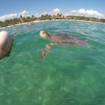 Akumal turtles sanctuary and go pro photos - The Experience in Detail