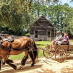 Alabama: Dothan-Eufaula Area Multi-Attraction Pass - Who Is This Tour Best For?