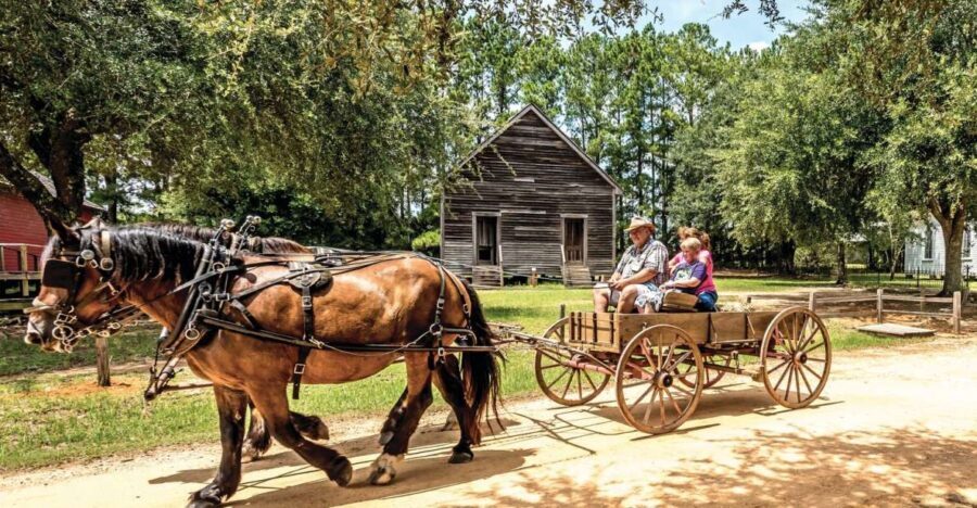 Alabama: Dothan-Eufaula Area Multi-Attraction Pass - Who Is This Tour Best For?