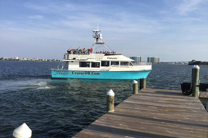 Alabama Gulf Coast Dolphin Cruise - Final Thoughts