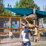 Alabama: Gulf Shores/Orange Beach Area Multi-Attraction Pass - How the Itinerary Works