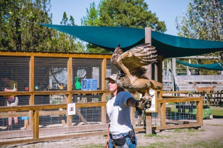 Alabama: Gulf Shores/Orange Beach Area Multi-Attraction Pass - How the Itinerary Works