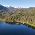 Alaska Bears and Silver Bay Homestead - Considerations and Practical Tips