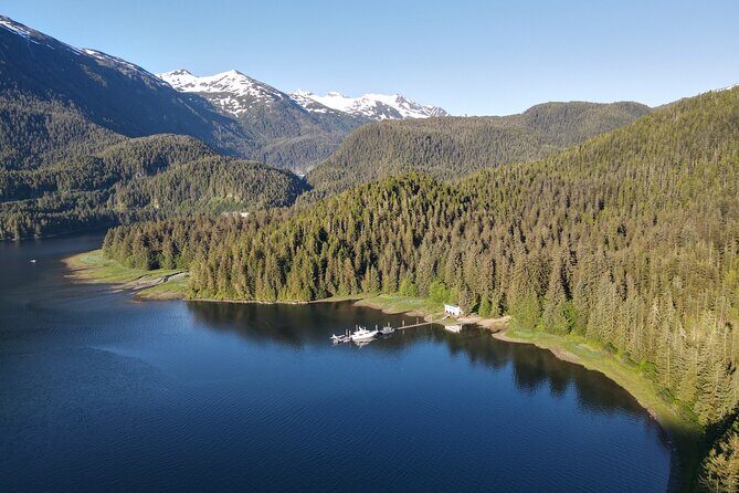 Alaska Bears and Silver Bay Homestead - Considerations and Practical Tips